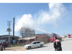 Ahşap ürünler fabrikasındaki yangın ucuz atlatıldı