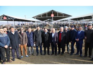 Kaya, Şarkışla hayvan pazarını ziyaret etti