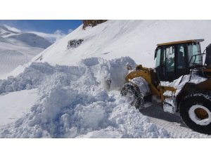 Van-Bahçesaray yolu tek şeritten ulaşıma açıldı