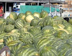 Karpuz ve kavuna TSE standardı