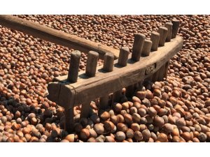 İtalya’dan fındık oyunu