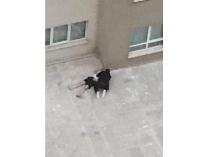 Dördüncü kattan atlayan kız arkadaşına "Ölme" diye yalvardı