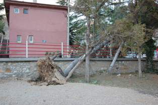 Şiddetli lodos hayatı felç etti