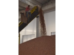 Fındıktan 6 ayda yaklaşık 1 milyar dolarlık gelir