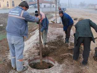Karatay'da ağaçlandırma çalışmaları sürüyor