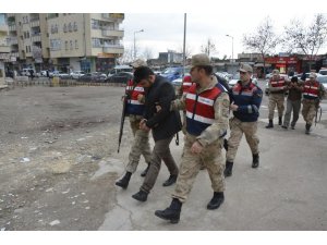 Oklu kirpiyi vahşice öldüren şahıslar yakalandı