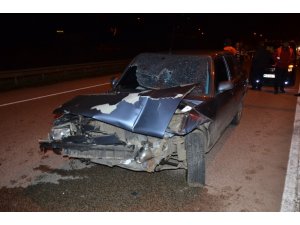 Kediyi ezmemek için direksiyonu kırınca kaza yaptı: 1 yaralı
