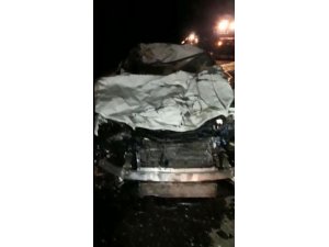 Otomobil yola çıkan atlara çarptı, 3’ü telef oldu