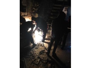 Kuyuya düşen köpeği itfaiye kurtardı