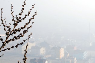 Konya'da hava ulaşımına sis engeli