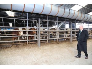 Karkas etin sınıflandırılmasına ATO üyelerinden destek