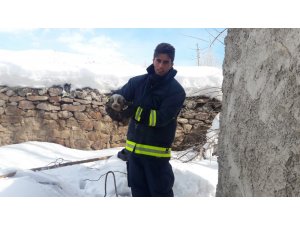 Van’da köpek kurtarma operasyonu