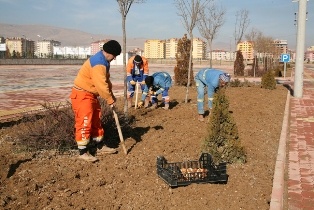 Selçuklu baharı lalelerle karşılayacak