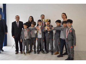 Bahçeşehir Koleji, Satrançta İl birincisi