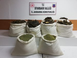 Diyarbakır’da terör örgütü PKK’ya büyük darbe