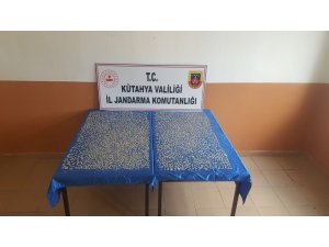 Kütahya’da 5 bin adet sikke ele geçirildi
