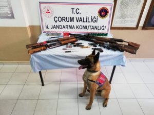 Çorum’da çok sayıda silah ve mühimmat ele geçirildi