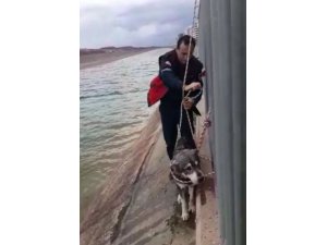 Sulama kanalına düşen köpeği itfaiye kurtardı
