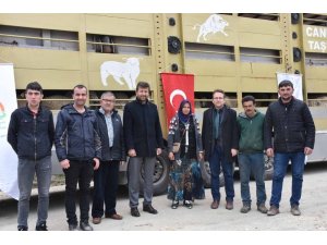 Pazarlar’da 5 genç çiftçiye damızlık koyun