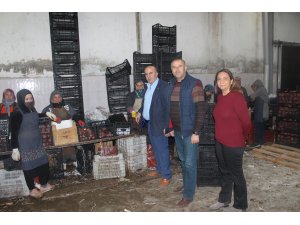 8 Mart Dünya Kadınlar Günü