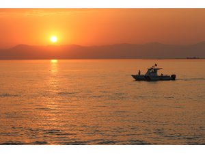 Canlı yayın yapan kamera, kaçak avcılara kolaylık oldu