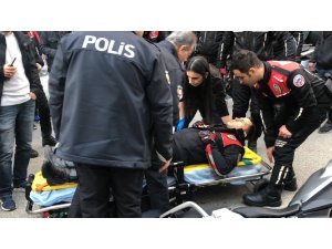 Yunuslara otomobil çarptı