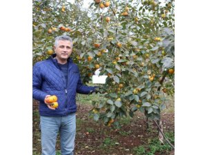 Bu meyveye ismini verdi ama üretiminde 25. sırada