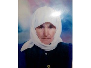 Yaşlı kadını gelini boğarak öldürmüş