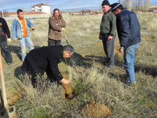 Kulu'ya 34 bin fidan dikildi