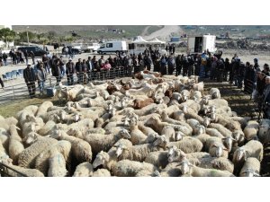 İzmir’de üreticinin yüzü gülüyor