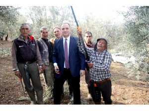 Bağımsız aday Gökçe’nin tarımsal projeleri ilgi görüyor