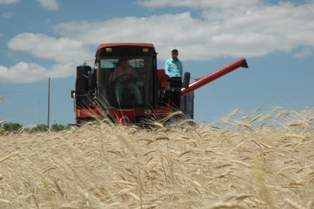 Ereğli'de çiftçi kursları başladı