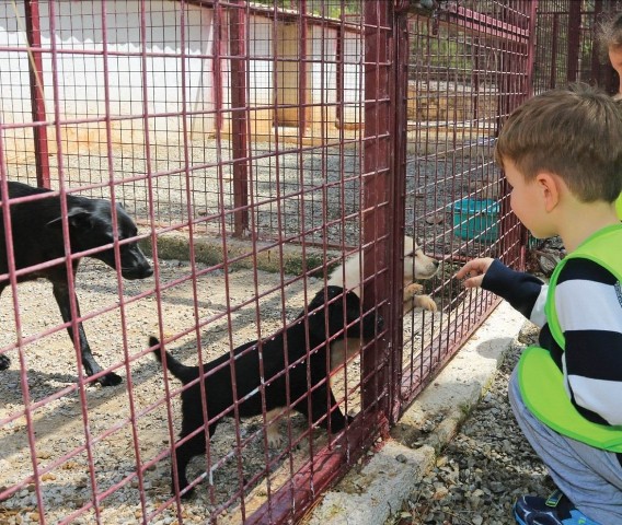 Seydişehir’de modern barınak