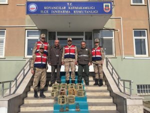Elazığ’da kaçak avlanan 10 keklik ele geçirildi