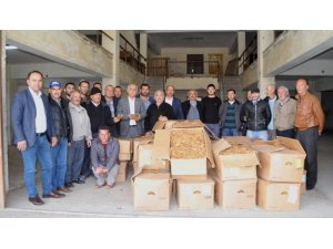 Bafra’da tütün alımları başladı