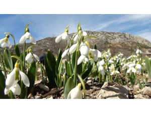 Toroslar’ın gelinliğini koruma projesi