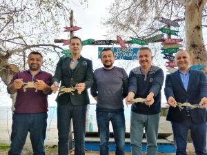 Mavi yengeç, Demre’nin markası oldu