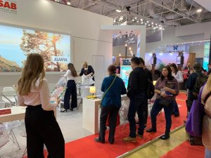 Rusların istikameti Türkiye