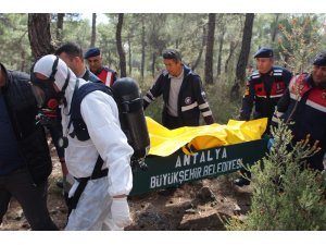 Ormanda 8 parça halinde bulunan cesedin kimliği tespit edildi, 4 şüpheli gözaltına alındı