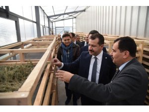 Yılmaz, "Tarım ve Hayvancılık Master planı Balıkesir’e büyük kazanç"