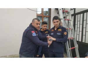 Çatıda mahsur kalan güvercini itfaiye kurtardı