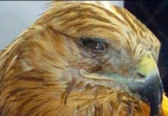 Bu bakış herşeyi anlatıyor