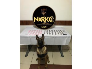 Tokat’ta “torbacı” operasyonu: 5 tutuklama