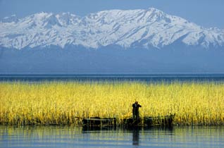 Yükselen su seviyesi otlanmayı azalttı