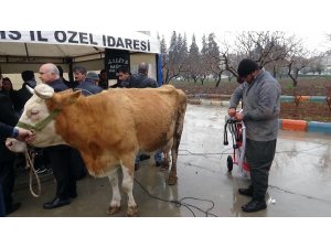 Üreticilere süt sağım makinesi dağıtıldı