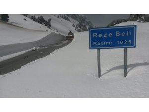 Reze Beli Yolu, 3 ay sonra trafiğe açıldı