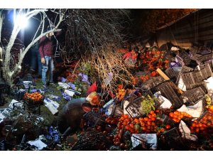 25 ton domates yüklü tır devrildi karayolu domates tarlasına döndü