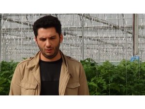 Domates fiyatları dengelenecek