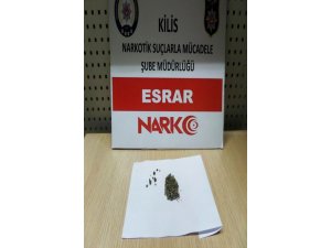 Kilis’te Esrar ele geçirildi