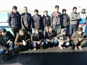 Yol uygulamasında 14 kaçak göçmen yakalandı